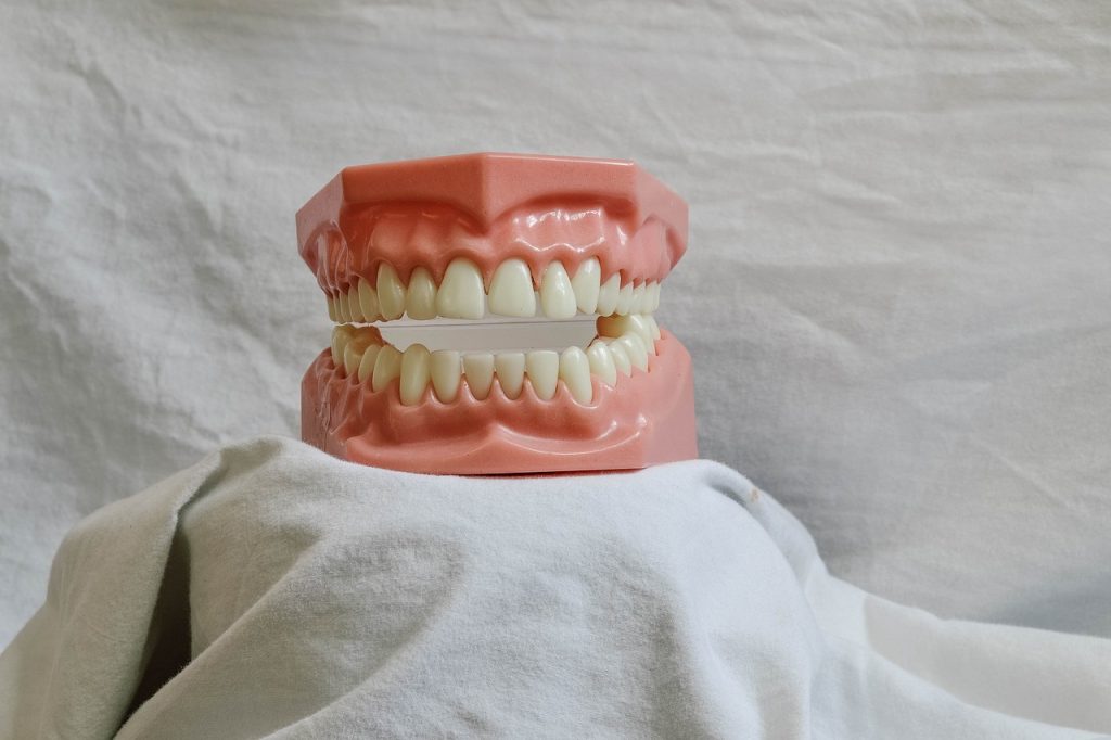 discover essential tips and information on maintaining optimal dental health to ensure a bright, healthy smile. from brushing techniques to dietary choices, find out how to keep your teeth and gums in top condition.