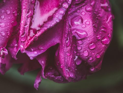 discover effective tips and techniques for moisture retention to keep your skin and hair hydrated and healthy all day long.